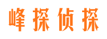 雁江侦探公司